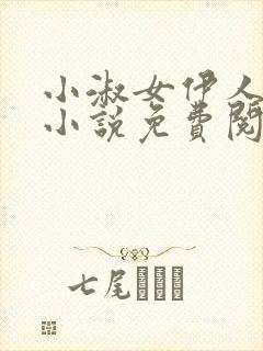 小淑女伊人睽睽小说免费阅读