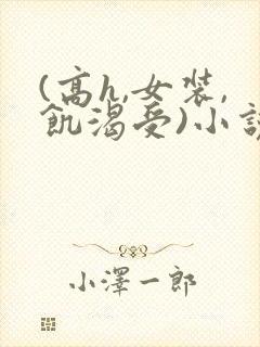 (高h,女装,饥渴受)小说