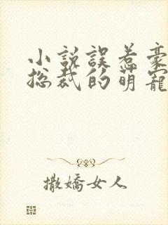 小说误惹豪门,总裁的萌宠新娘小说