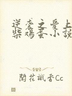 逆袭之爱上情敌柴鸡蛋小说原文免费阅读