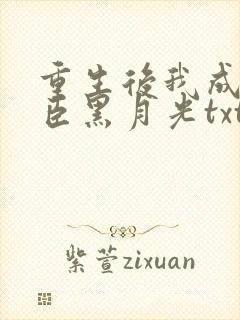 重生后我成了奸臣黑月光txt下载