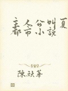 主人公叫夏凡的都市小说