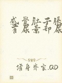 感觉肚子胀胀的有尿意却尿得很少