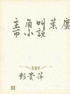 主角叫叶尘的都市小说