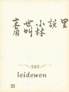 末世小说里面主角叫林