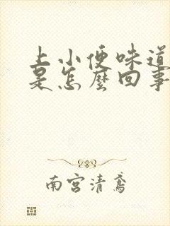 上小便味道很大是怎么回事