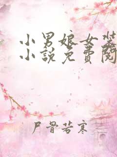 小男娘女装改造小说免费阅读