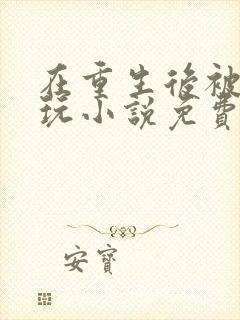 在重生后被女主玩小说免费阅读