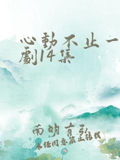心动不止一刻短剧14集