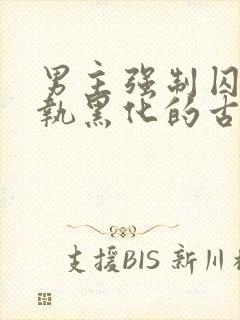 男主强制囚禁偏执黑化的古言