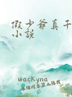 假少爷真千金的小说