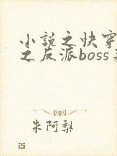 小说之快穿系统之反派boss来袭