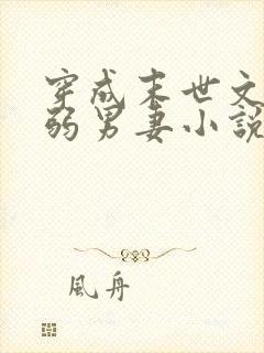 穿成末世文的病弱男妻小说推荐