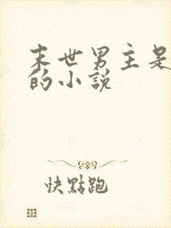 末世男主是反派的小说