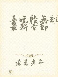 秦晚殷无离小说最新章节