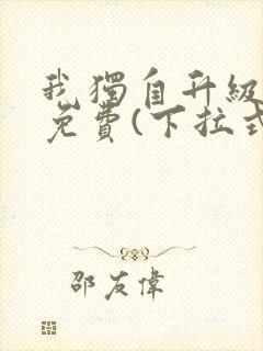 我独自升级漫画免费(下拉式)