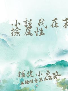 小说 我在末世捡属性