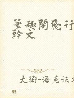 笔趣阁飞行棋高干文