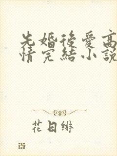 先婚后爱高干言情完结小说