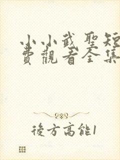 小小武圣短剧免费观看全集