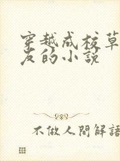 穿越成校草前男友的小说