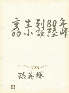 重生到80年代的小说陆峰