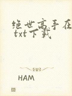 绝世高手在都市 txt下载