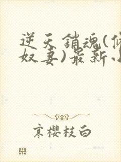 逆天销魂(修真奴妻)最新小说章节在线