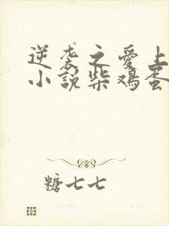 逆袭之爱上情敌小说柴鸡蛋