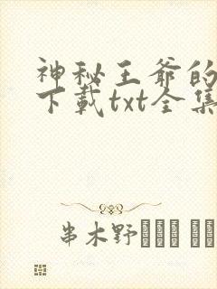 神秘王爷的爱妃下载txt全集