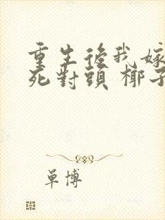 重生后我嫁给了死对头 椰子絮