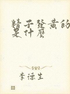 精子发黄的原因是什么