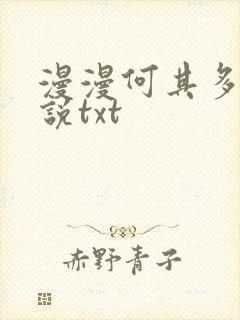 漫漫何其多的小说txt