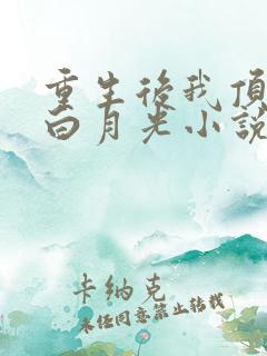 重生后我顶替了白月光小说