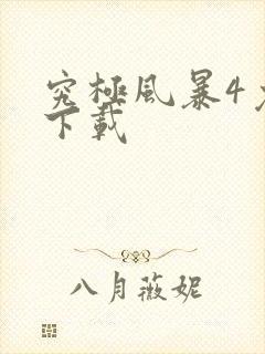 究极风暴4免费下载