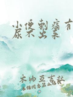 小便刺痛有尿意尿不出来