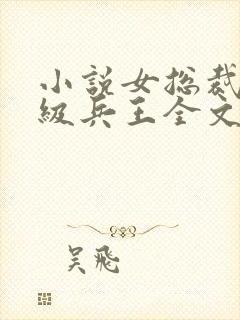 小说女总裁的超级兵王全文阅读