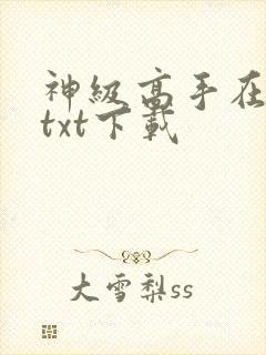 神级高手在都市txt下载