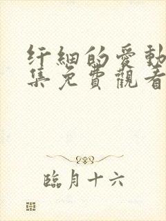 纤细的爱动漫全集免费观看第一集