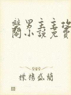 双男主主攻笔趣阁小说免费阅读