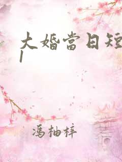 大婚当日短剧51