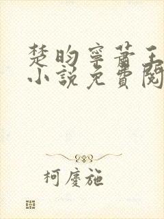 楚昀宁萧王穿越小说免费阅读无弹窗