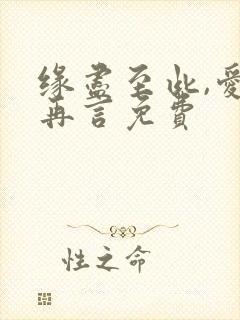 缘尽至此,爱不再言免费