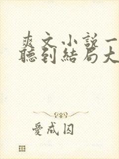 爽文小说一口气听到结局大女主