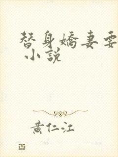 替身娇妻要离婚 小说