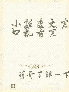 小说爽文完结一口气看完