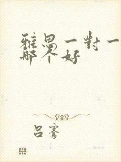 雅思一对一培训哪个好