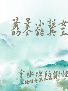 萧晨小说女总裁的全能兵王