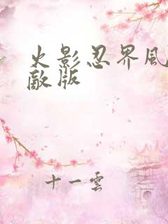 火影忍界风暴无敌版