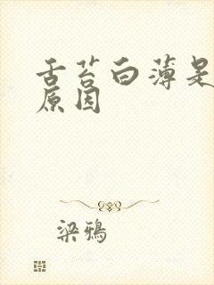 舌苔白薄是什么原因